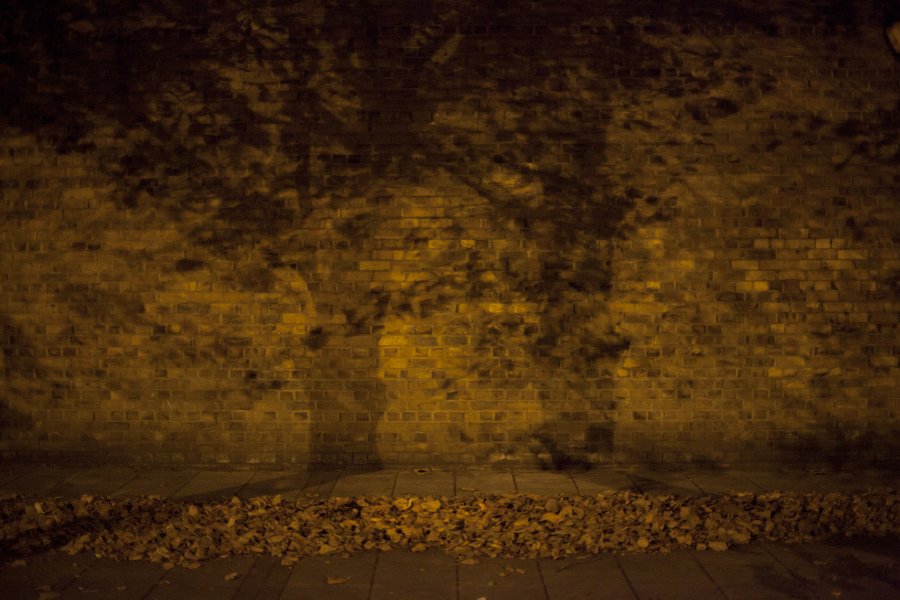 Flâneur