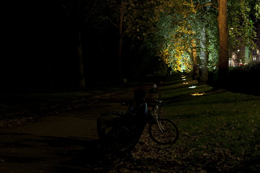 Flâneur