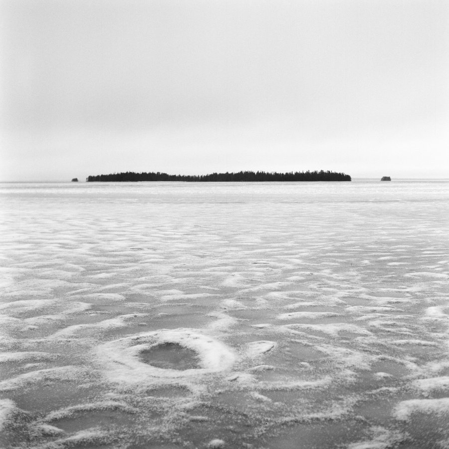 Forward far north