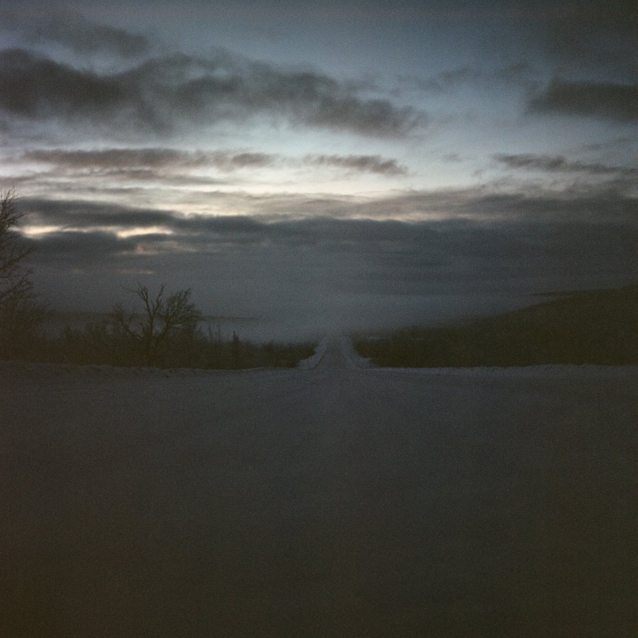 Forward far north