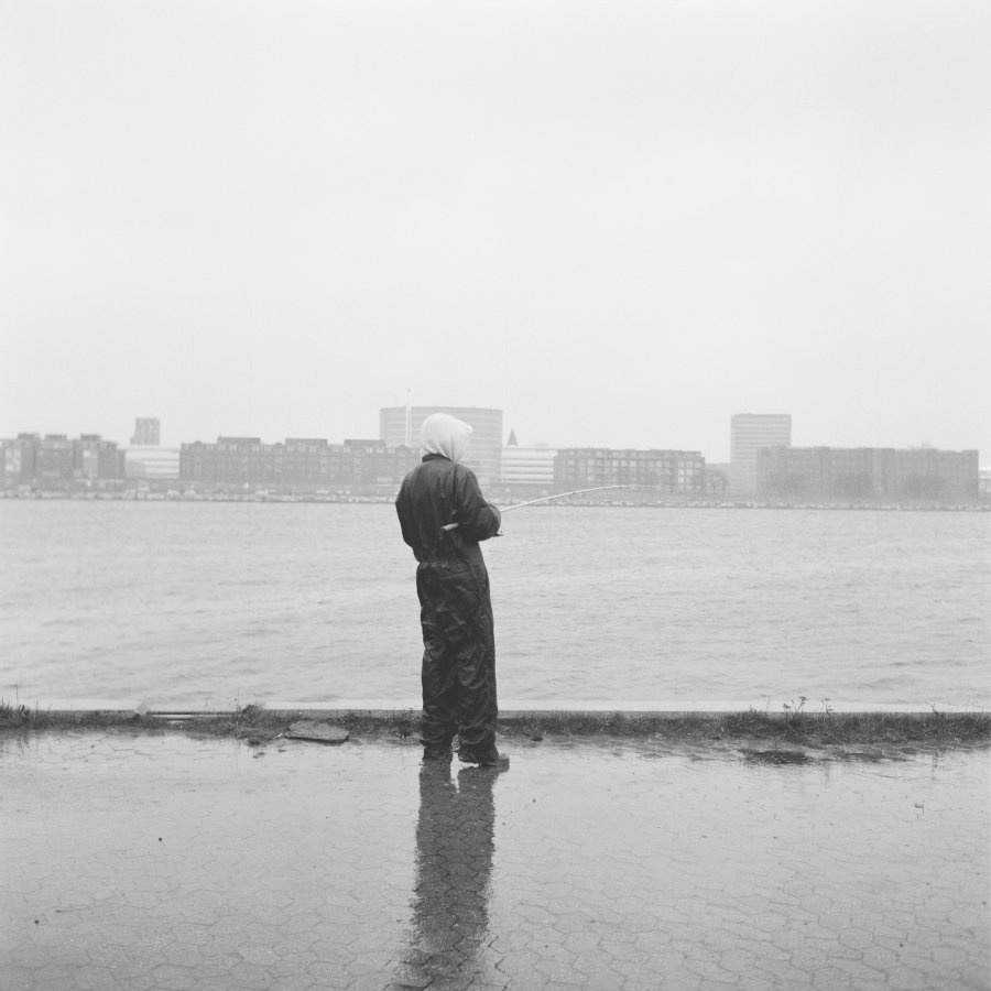 Forward far north