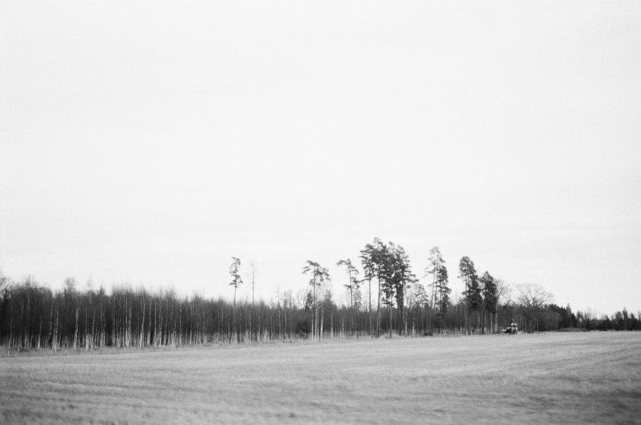 Forward far north