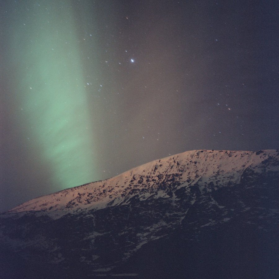 Forward far north
